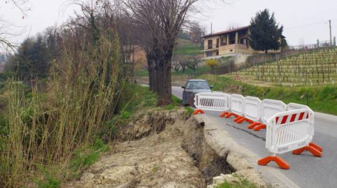 Come le piante possono prevenire le frane: le riflessioni dell'Ordine degli Agronomi e Forestali di Asti dopo un sopralluogo mirato