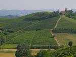 Piccole e medie imprese, caccia e paesaggi vitivinicoli del sito Unesco oggetto della riunione della Giunta Regionale