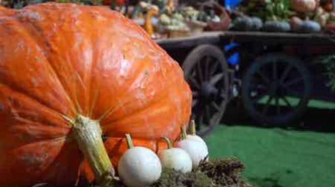 Piea, da sabato 26 settembre arriva la “Zucca delle Meraviglie”