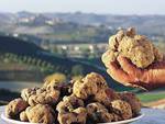 Mombaruzzo, domenica 15 si festeggia la sesta Fiera del Tartufo