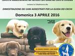 Domenica 3 aprile la dimostrazione cani guida con l’APRI 