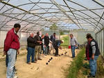 Orti sociali con formazione, collabora l’Istituto tecnico per l’Agricoltura