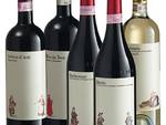 Tenuta la Pergola: ''Vino Italiano, poche vendite on line''