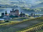 Grinzane Cavour, domani il convegno sulla Gestione Agronomicamente Sostenibile 