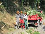 Vinchio, gli operai forestali tagliano la vegetazione nelle strade rurali