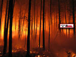 Incendi boschivi: siglata intesa tra Piemonte, Liguria e Lombardia