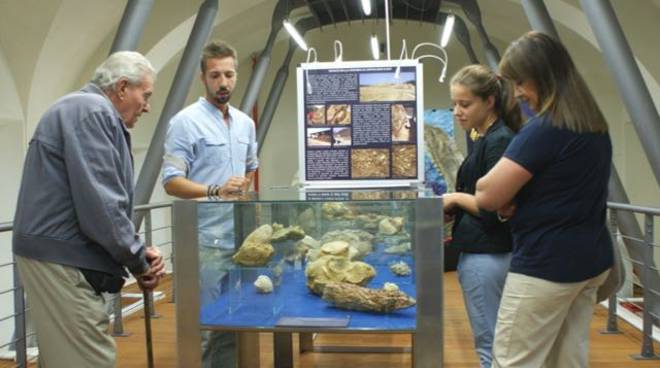 Porte aperte giovedì 8 dicembre al Museo dei Fossili