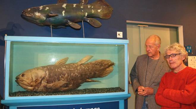 Trieste invita Asti per i 35 anni di esposizione del Celacanto, rarissimo pesce delle Comore