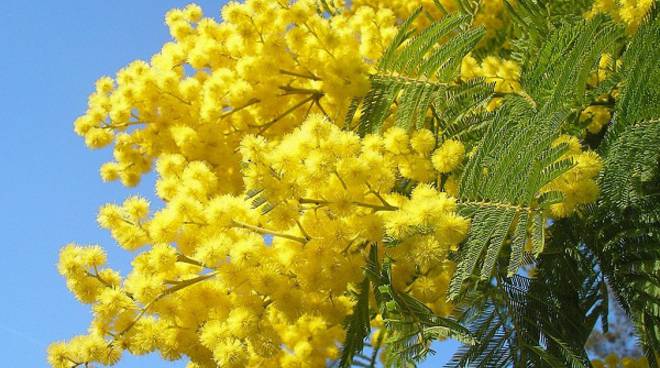 Asti, iniziano venerdì le iniziative per la Festa delle Donne del CPIA