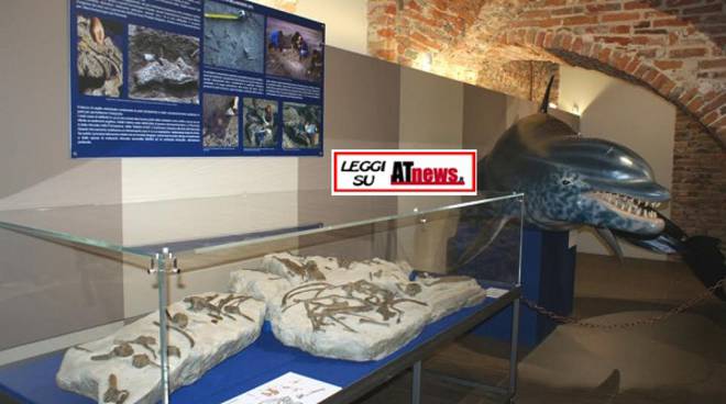 Asti, piace il nuovo Museo Paleontologico: 700 persone in una settimana 
