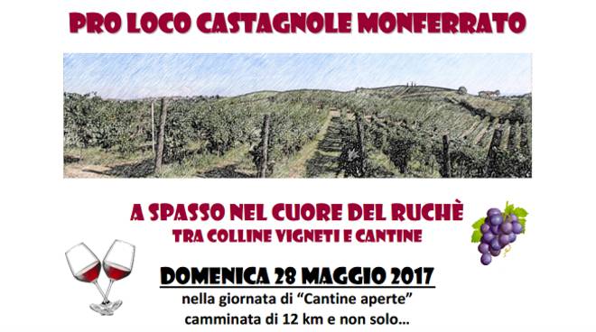 Domenica a Castagnole Monferrato si cammina nel cuore del Ruché