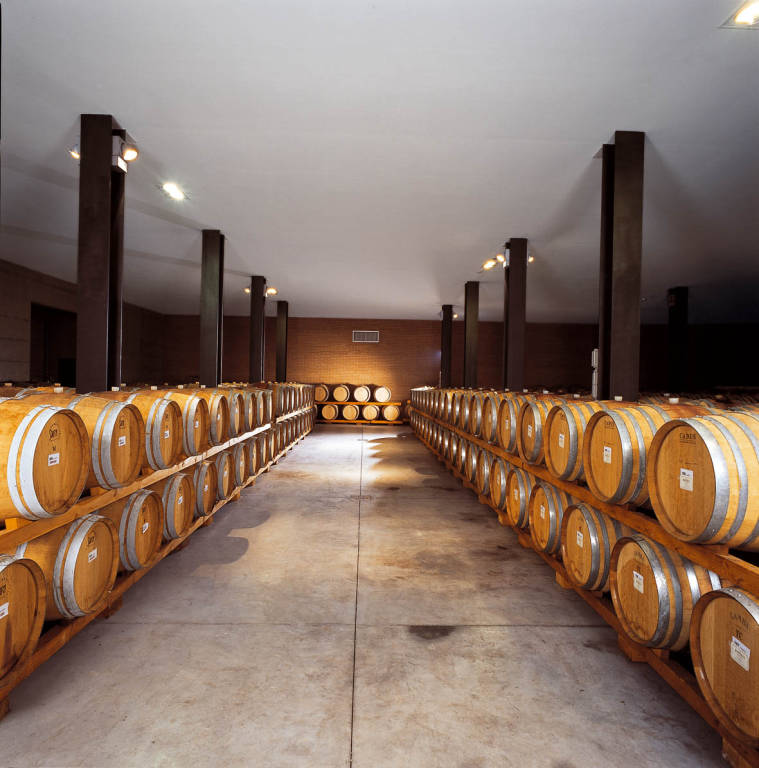 Cantina Vinchio Vaglio