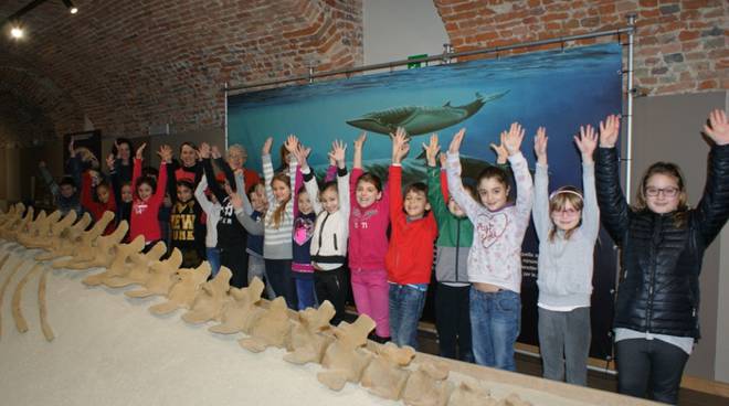 bambini antignano museo paleontologico