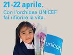 unicef ridotta