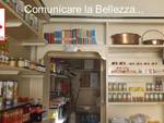 Comunicare la Bellezza: Cella Monte - Bottega Enrico Francia