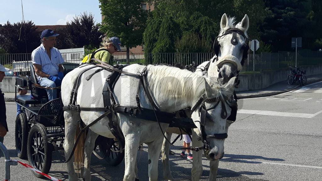 Bimbi in festa 2018