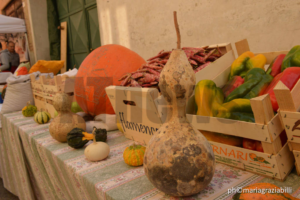 La Zucca delle Meraviglie - Piea