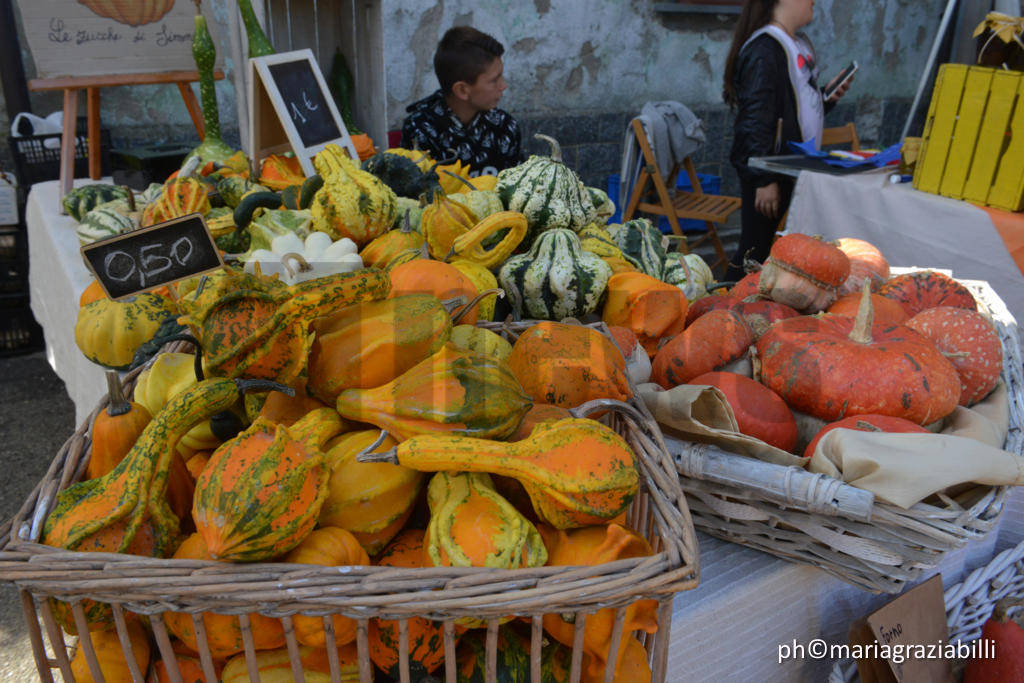 La Zucca delle Meraviglie - Piea