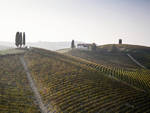 vigne michele chiarlo vino cipressi nizza docg