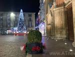 in cerca di bellezza natale asti