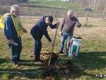 Parco della salute di Asti: piantate 25 nuove piante