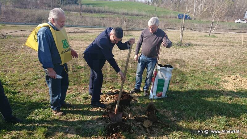 Parco della salute di Asti: piantate 25 nuove piante