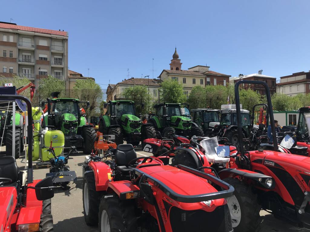 Fiera del Santo Cristo Nizza