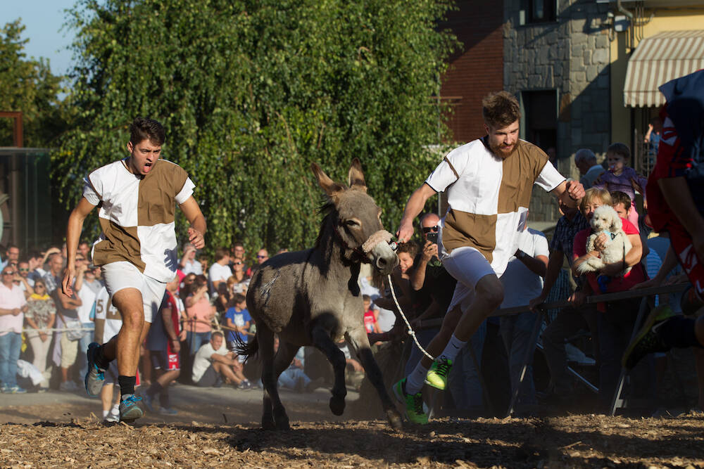 palio asini cocconato 2018