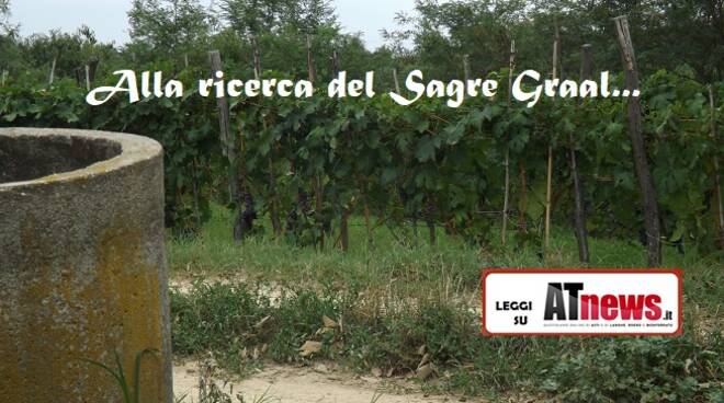 sagre graal nostra vigna