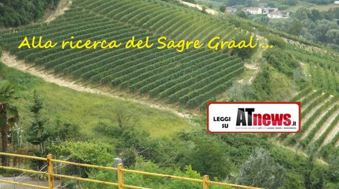 sagre graal nostra vigneti