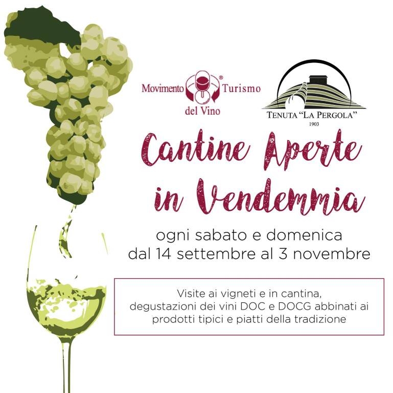 cantine aperte in vendemmia