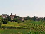 cuccaro monferrato