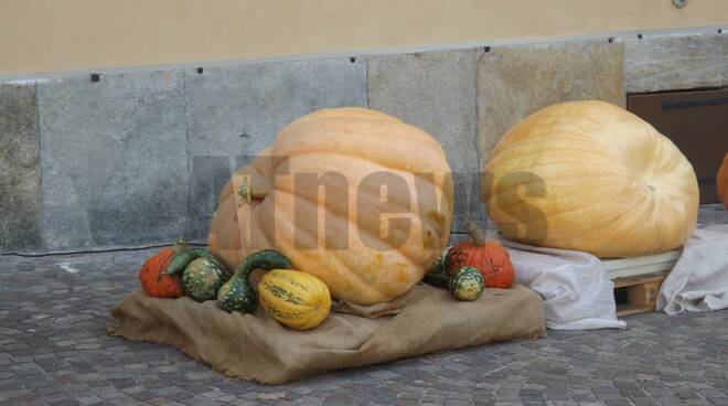 La Zucca delle Meraviglie - Piea 2019