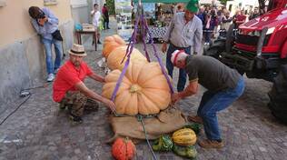 La Zucca delle Meraviglie - Piea 2019