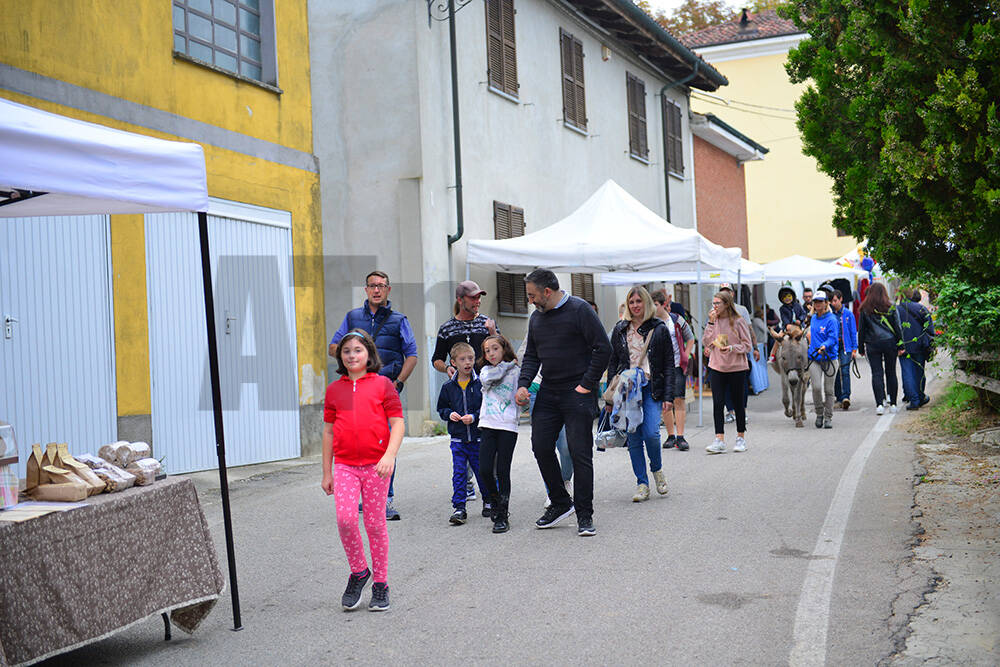 Fiera del Ruchè e del Tartufo, Castagnole Monferrato (AT).