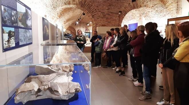 docenti al museo dei fossili