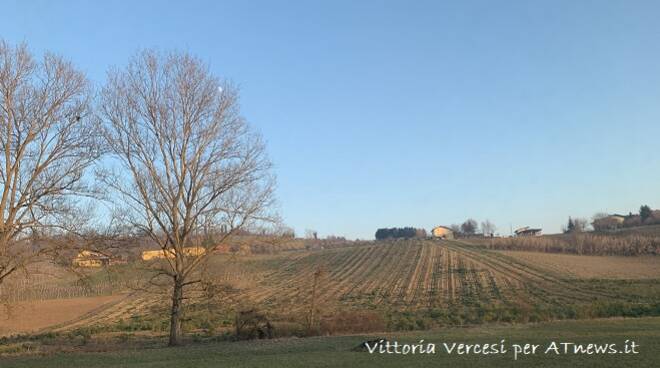 in cerca di bellezza vercesi dellavalle massocco