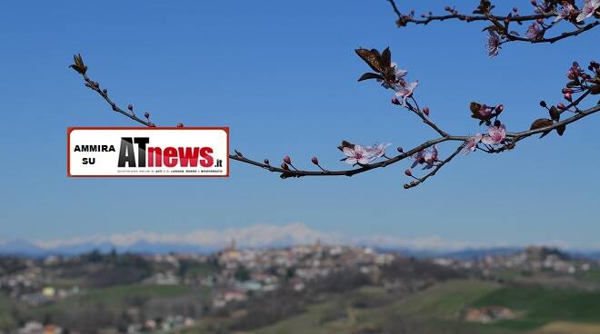 daniel dellavalle in cerca di bellezza primavera