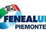 FENEALUIL Piemonte