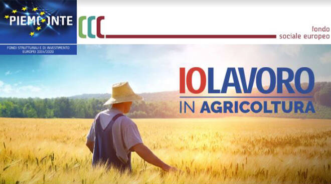 "Iolavoro in agricoltura": l'iniziativa della Regione Piemonte in aiuto al settore agricolo