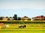 paesaggio piemontese coldiretti