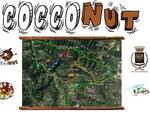 cocconut