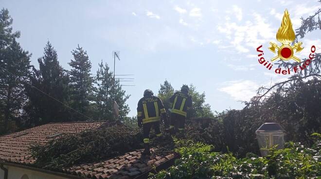 albero su casa vigili del fuoco 11082020