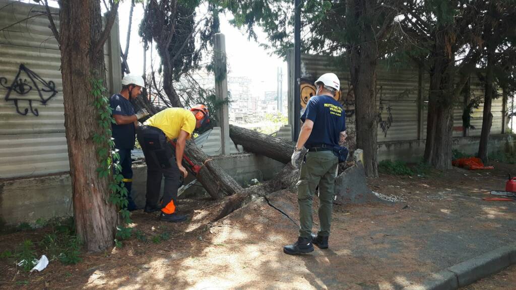 Rimozione albero protezione civile asti 