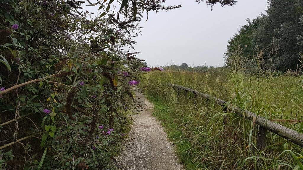 Incuria al Parco del LungoTanaro - Asti