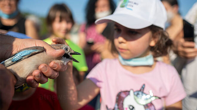 Molti bambini hanno partecipato alla Liberazione Volatili del territorio nella “Settimana europea della mobilità 2020”