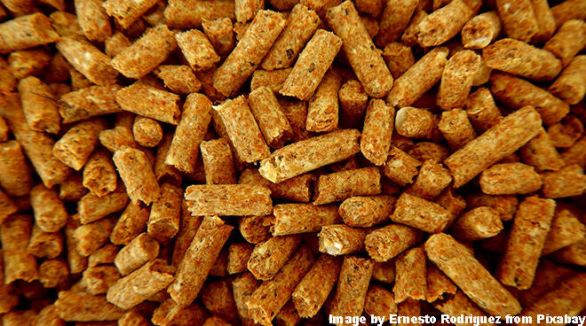 Pellet, pellets