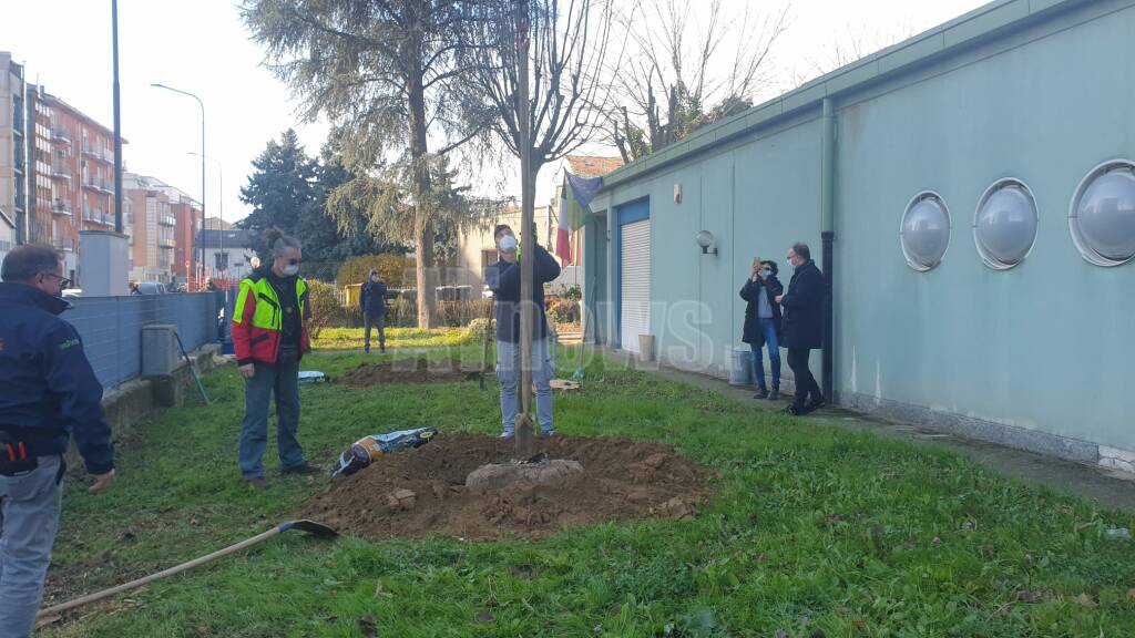 piantumazione alberi scuola materna agazzi giornata nazionale dell’albero 2020