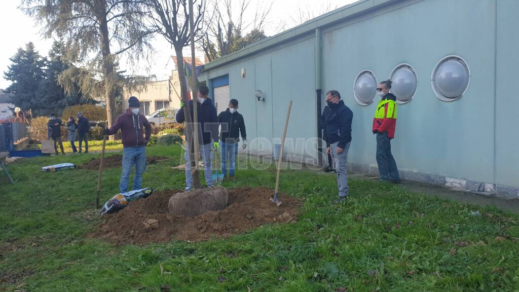 piantumazione alberi scuola materna agazzi giornata nazionale dell’albero 2020