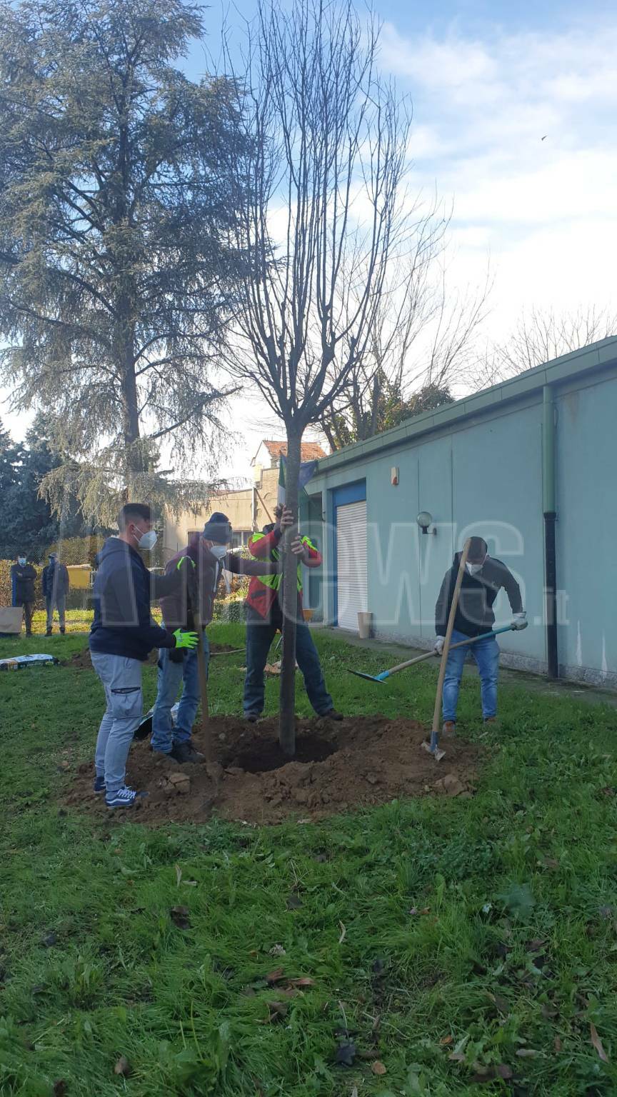 piantumazione alberi scuola materna agazzi giornata nazionale dell’albero 2020